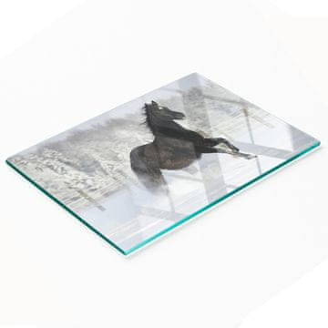 shumee Dekorativna steklena deska za rezanje z grafiko snežnega konjička 80x52 cm