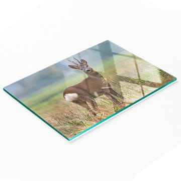 shumee Kuhinjska večnamenska dekorativna deska iz kaljenega stekla Jelen 80x52 cm