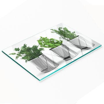 shumee Trpežna in elegantna steklena tabla z vzorcem aromatičnih rastlin 80x52 cm