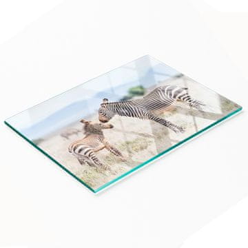 shumee Dekorativna steklena kuhinjska deska za rezanje in serviranje Zebra Mountain 80x52 cm