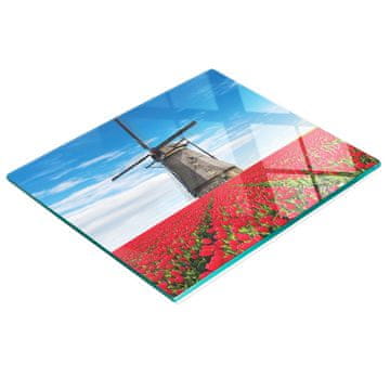 shumee Steklena kuhinjska deska za rezanje z grafiko tulipanovega mlina na veter 60x52 cm