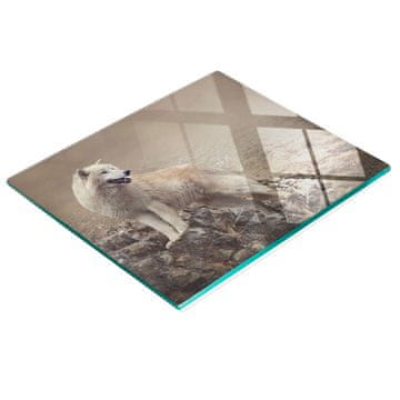 shumee Elegantna in trpežna steklena tabla z vzorcem belega volka v obliki kamna 60x52 cm