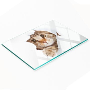 shumee Trpežna in elegantna kuhinjska deska iz kaljenega stekla z mačjim vzorcem 80x52 cm
