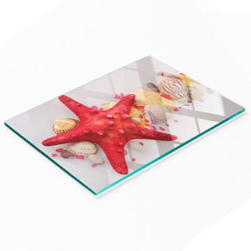 shumee Dekorativna deska za rezanje iz kaljenega stekla z lupinami morskih zvezd 80x52 cm