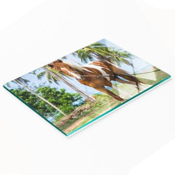 shumee Dekorativna steklena kuhinjska deska za rezanje in serviranje Pinto konj 80x52 cm