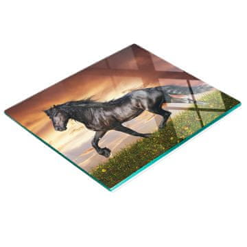 shumee Trpežna in elegantna kuhinjska deska iz kaljenega stekla z vzorcem konj 60x52 cm