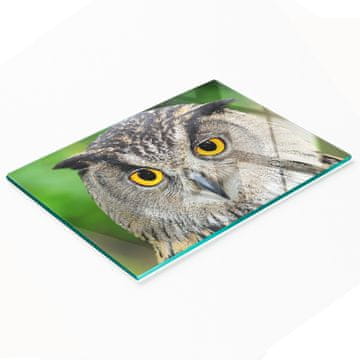 shumee Trpežna in elegantna kuhinjska deska iz kaljenega stekla z vzorcem sove 80x52 cm