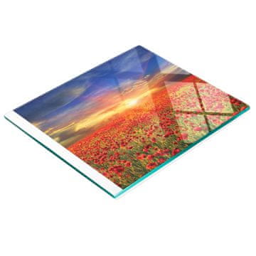 shumee Večnamenska kuhinjska dekorativna tabla iz kaljenega stekla Maki Field 60x52 cm
