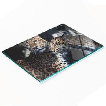 shumee Trpežna in elegantna steklena kuhinjska deska z vzorcem dveh leopardov 80x52 cm