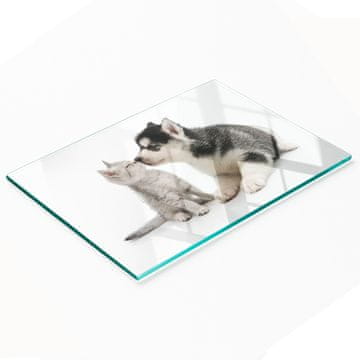 shumee Kuhinjska deska iz kaljenega stekla z dekorativno grafiko pes in mačka 80x52 cm