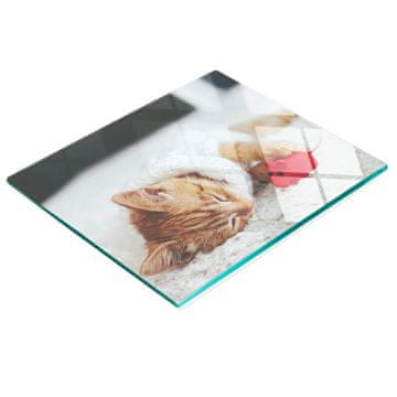 shumee Kuhinjska deska iz kaljenega stekla z dekorativno grafiko Sweet Kitty 60x52 cm