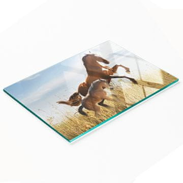 shumee Dekorativna steklena deska za rezanje in serviranje Kobila z žrebetom 80x52 cm
