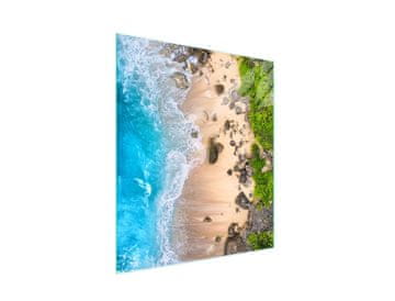 shumee Steklena deska za rezanje 45x52 Beach