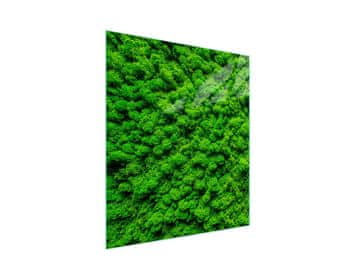 shumee Steklena deska za rezanje 45x52 Barva