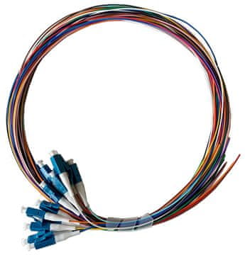 LVO-PIG-LCUPC-12CORE-OS2-2M