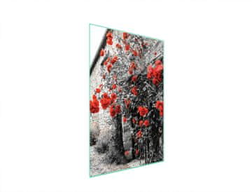 shumee Steklena deska za rezanje 35x52 Rose
