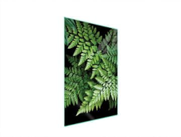 shumee Steklena deska za rezanje 35x52 Leaf
