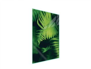shumee Steklena deska za rezanje 35x52 Leaf