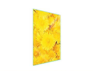 shumee Steklena deska za rezanje 35x52 Cvet