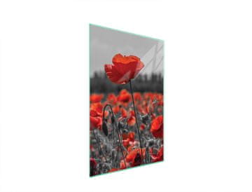 shumee Steklena deska za rezanje 35x52 Cvet