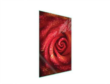 shumee Steklena deska za rezanje 35x52 Rose