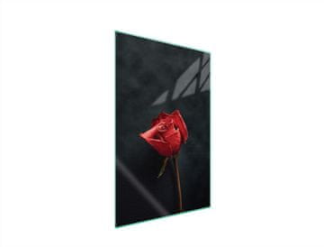 shumee Steklena deska za rezanje 35x52 Rose