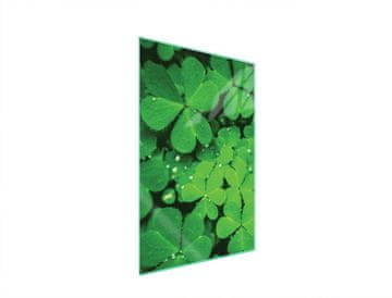 shumee Steklena deska za rezanje 35x52 Leaf