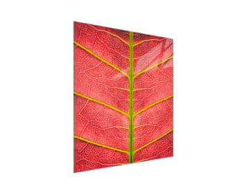 shumee Steklena deska za rezanje 45x52 Leaf