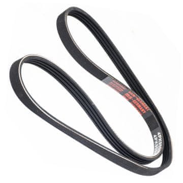 Master-Sport Večrebrasti jermen PK | 4PK955