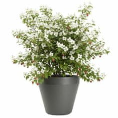 shumee Vrtni lonec Purea, antracit, v41,2 x 46,4 cm