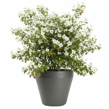 shumee Vrtni lonec Purea, antracit, v41,2 x 46,4 cm