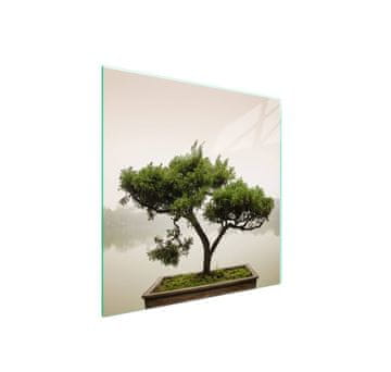 shumee Zaščita za stekleno štedilnik 50x52 Drevo