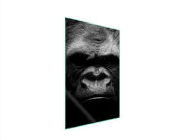 shumee Steklena deska za rezanje 35x52 Gorilla