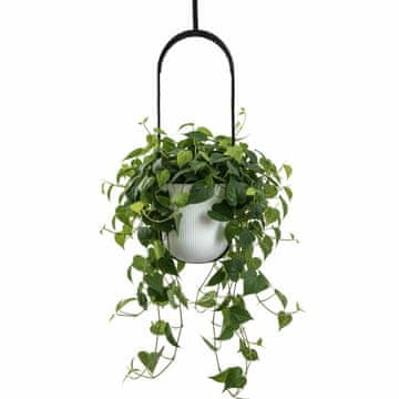shumee Viseči sadilnik Aera Hang, bel, 17,9 cm