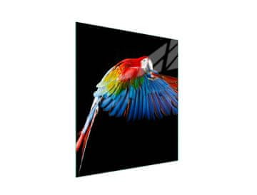 shumee Steklena deska za rezanje 45x52 Parrot