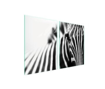 shumee Steklena zaščitna plošča za štedilnik 2x45x52 Zebra