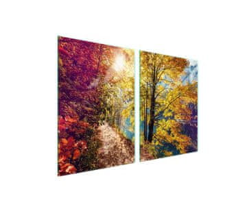 shumee Steklena zaščitna plošča za štedilnik 2x45x52 Ogled