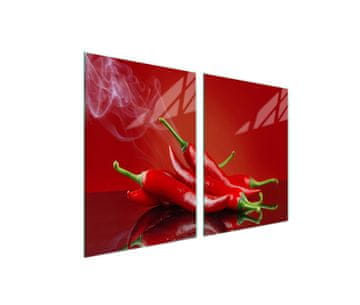 shumee Steklena zaščitna plošča za štedilnik 2x45x52 Chili