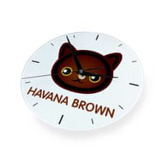 Artdog Havana Brown - MDF ura z grafiko in napisom Art-Dog