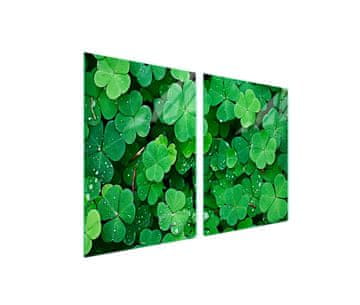 shumee Steklena zaščitna plošča za štedilnik 2x45x52 Leaf