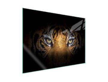 shumee Steklena zaščitna plošča za štedilnik 70x52 Tiger