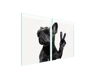 shumee Steklena zaščitna plošča za štedilnik 2x45x52 Dog