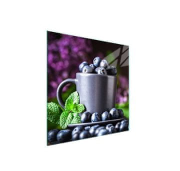 shumee Steklena zaščitna plošča za štedilnik 50x52 Fruit