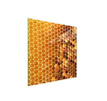 shumee Steklena zaščitna plošča za štedilnik 50x52 Honey