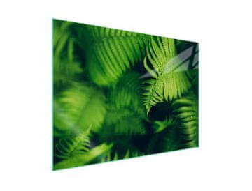 shumee Steklena zaščitna plošča za štedilnik 70x52 Leaf