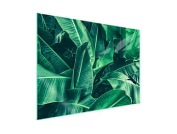 shumee Steklena zaščitna plošča za štedilnik 70x52 Leaf