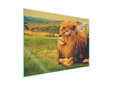 shumee Steklena zaščitna plošča za štedilnik 70x52 Lion