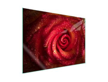 shumee Steklena zaščitna plošča za štedilnik 70x52 Rose