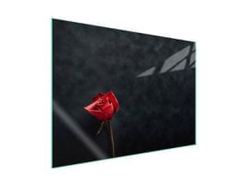 shumee Steklena zaščitna plošča za štedilnik 70x52 Rose