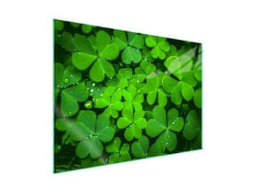 shumee Steklena zaščitna plošča za štedilnik 70x52 Leaf